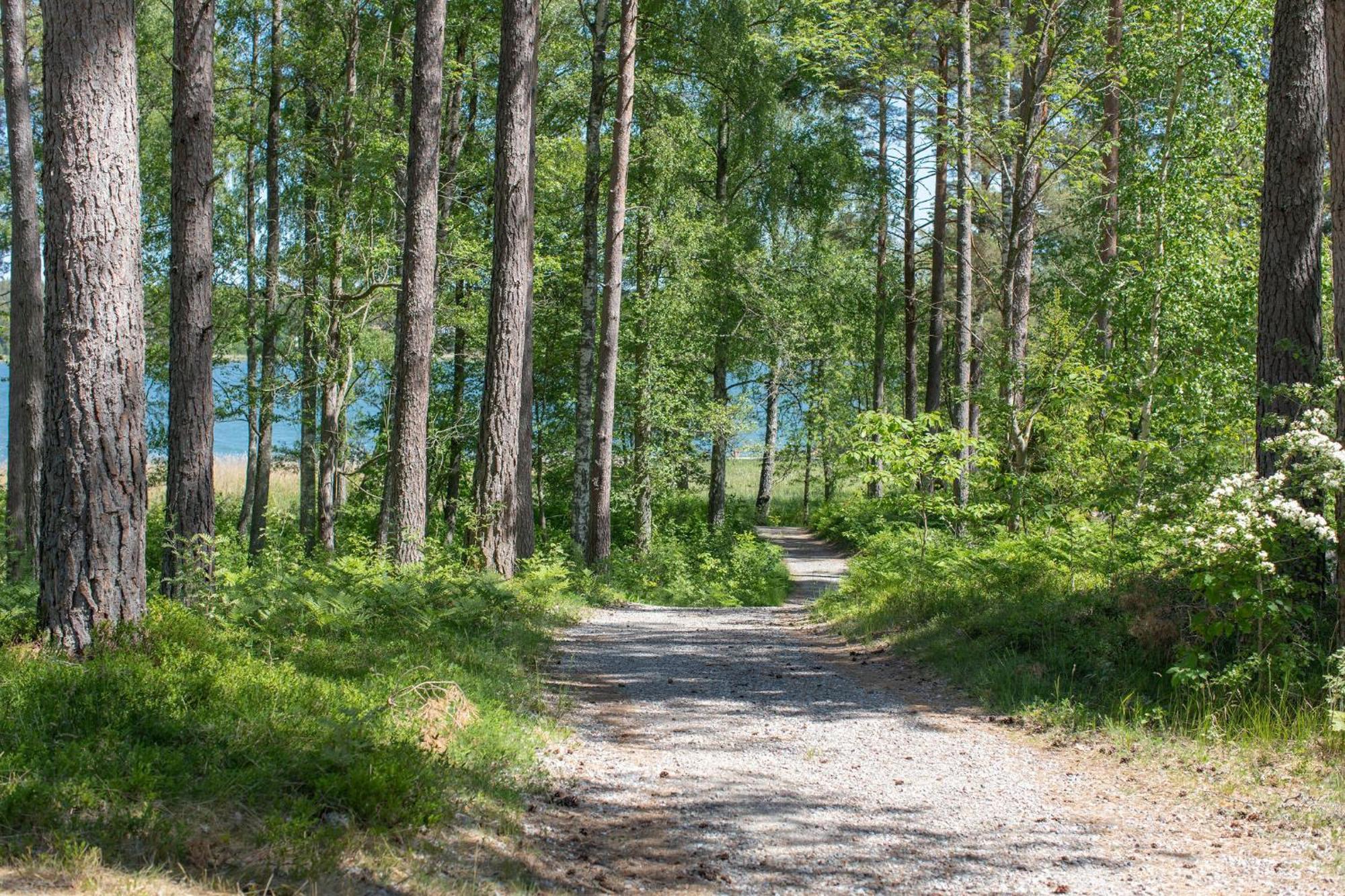 Bergs Gard & Hallsvikens Gard Vasterljung Luaran gambar